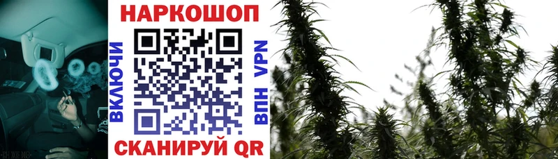 Сколько стоит Томмот Марихуана  Alpha PVP  ГАШ  Меф  Cocaine 