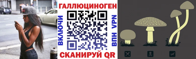 Галлюциногенные грибы MAGIC MUSHROOMS  Томмот 